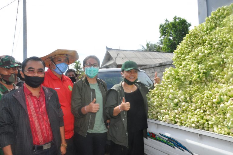 Peduli Petani saat Covid-19, Bupati Tabanan Borong 10 Ton Sayur Hasil Panen