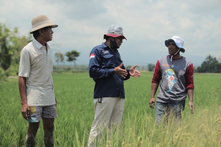 PUPUK INDONESIA LUNCURKAN AGRO SOLUSI UNTUK INDONESIA