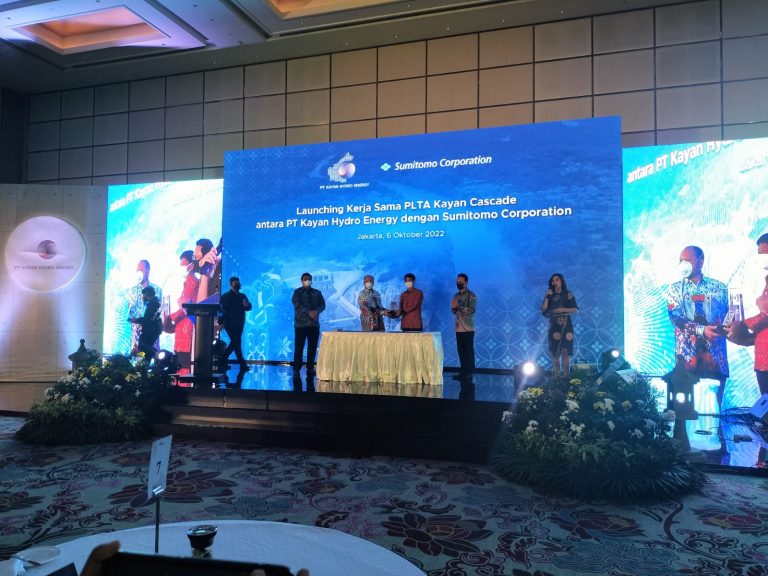 whatsapp image 2022 10 12 at 03.07.12