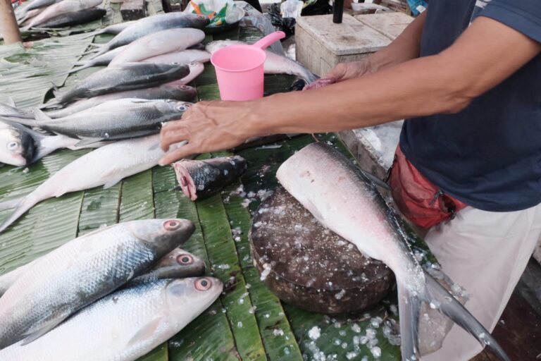 Pedagang Ikan di Pasar Rawa Belong. Foto. Dudut Suhendra Putra.