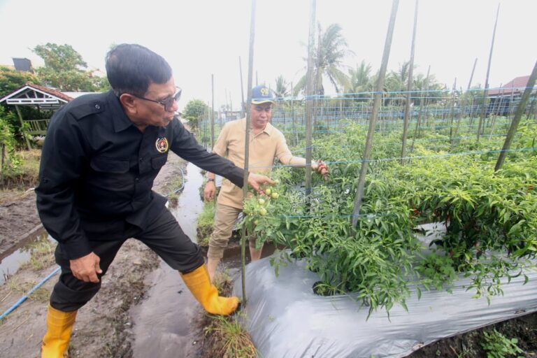 Ketum.PWI Pusat, Hendry Ch. Bangun Menanam untuk Pangan
