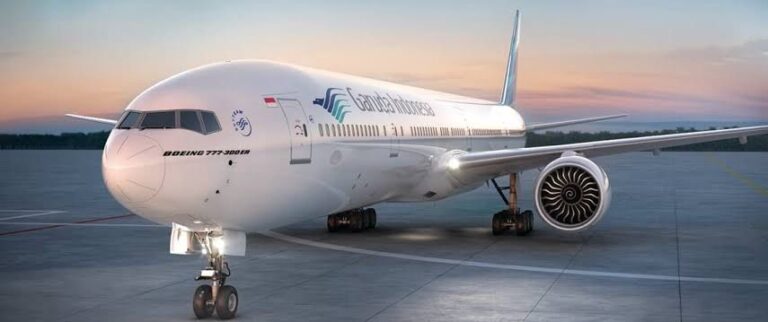 ilustrasi pesawat garuda