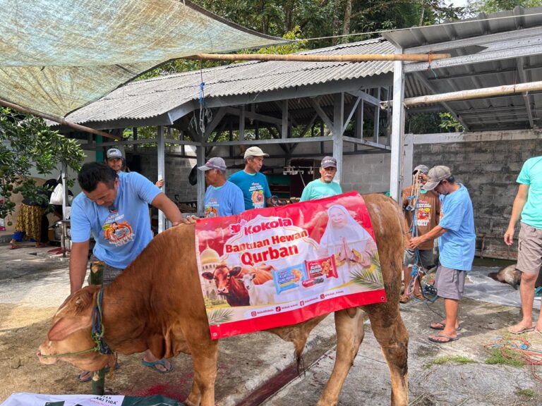 Kokola Group bersama Mamah Dedeh Salurkan Qurban Sapi Limosin di Ciamis